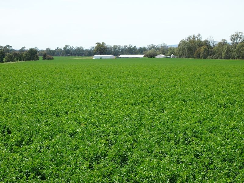 575 Selectors Road, Nagambie VIC 3608