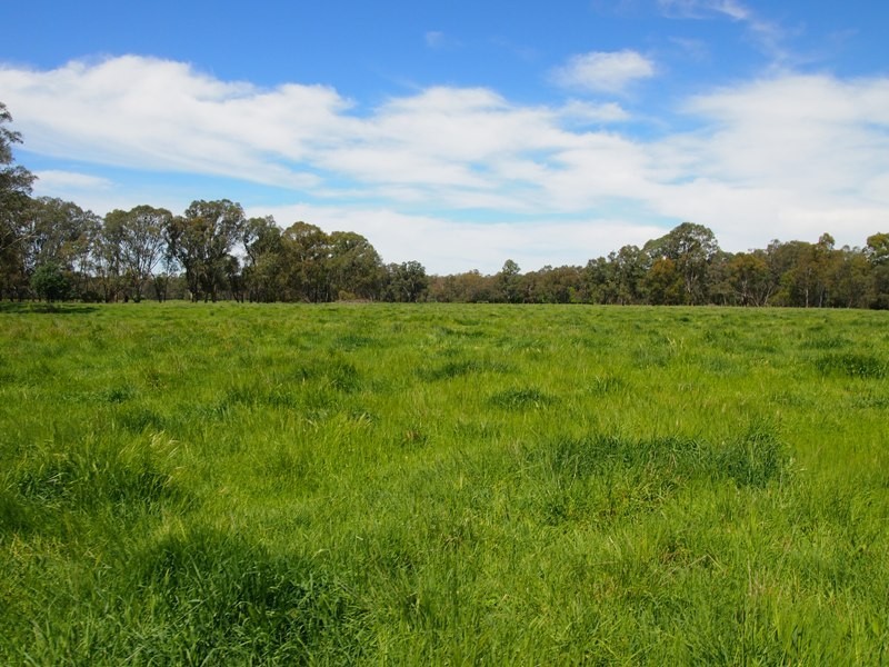 575 Selectors Road, Nagambie VIC 3608