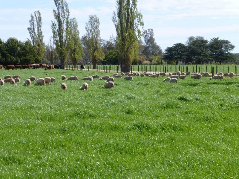 575 Selectors Road, Nagambie VIC 3608