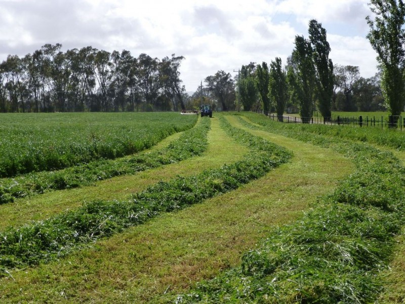 575 Selectors Road, Nagambie VIC 3608