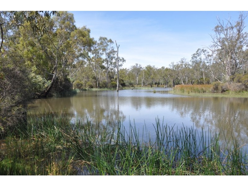 271 Wattlevale Road, Nagambie VIC 3608