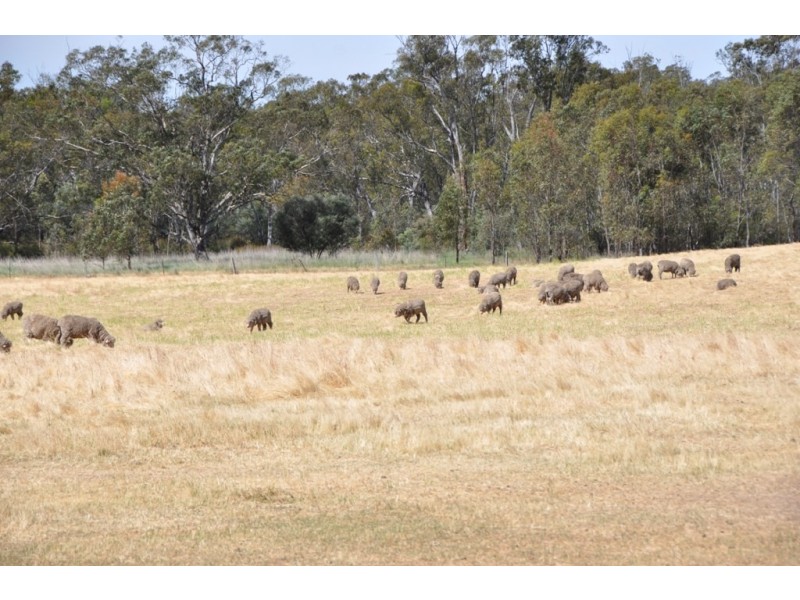 271 Wattlevale Road, Nagambie VIC 3608