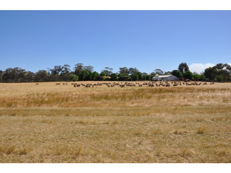 271 Wattlevale Road, Nagambie VIC 3608