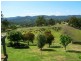 55 Joe Taylor Rise, Eildon VIC 3713