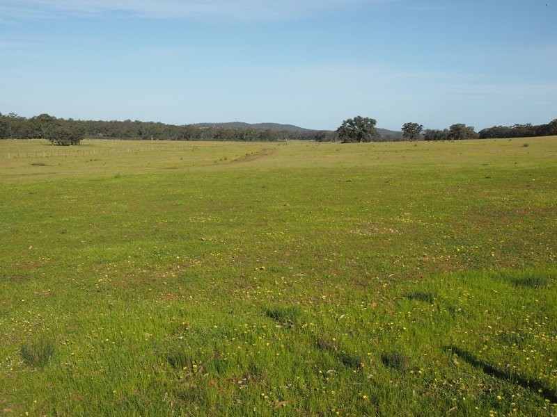 1444 Heathcote-Nagambie Road, Heathcote VIC 3523