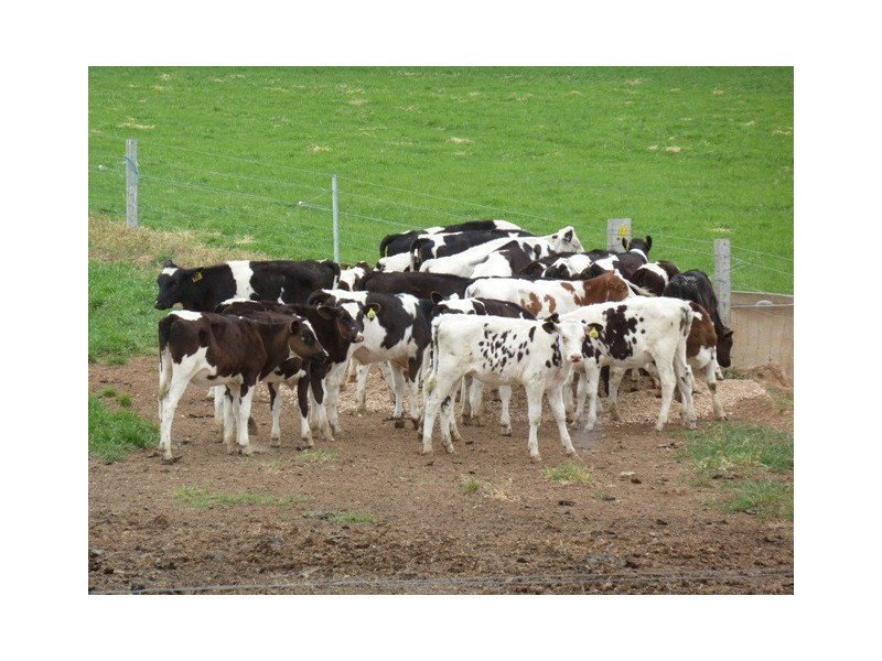 2547 Strathallan Rd, Lockington VIC 3563