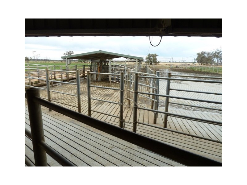 2547 Strathallan Rd, Lockington VIC 3563