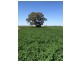 2547 Strathallan Rd, Lockington VIC 3563
