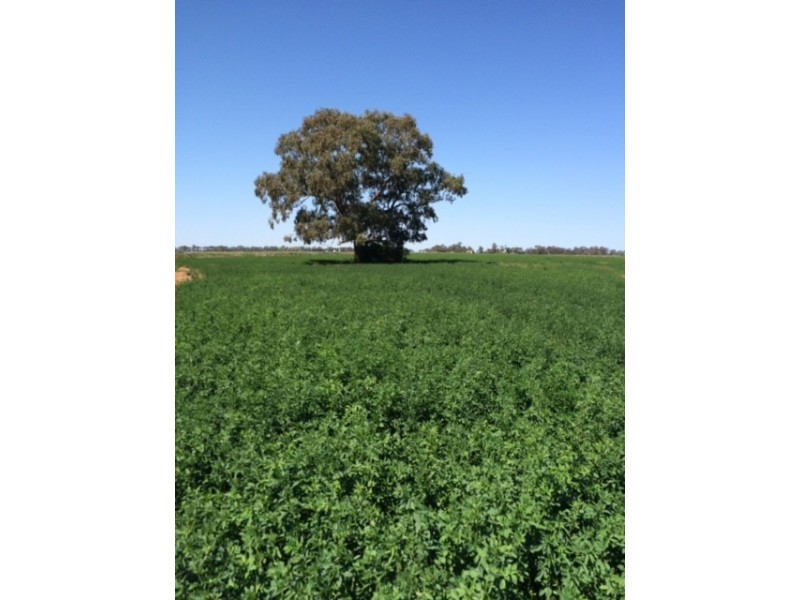 2547 Strathallan Rd, Lockington VIC 3563