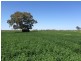 2547 Strathallan Rd, Lockington VIC 3563