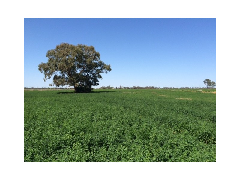 2547 Strathallan Rd, Lockington VIC 3563
