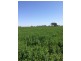 2547 Strathallan Rd, Lockington VIC 3563