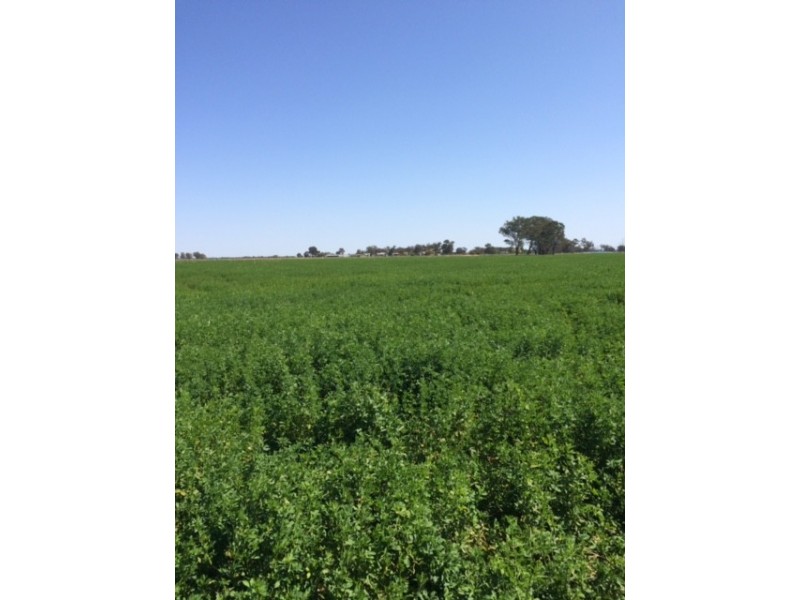 2547 Strathallan Rd, Lockington VIC 3563