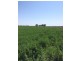 2547 Strathallan Rd, Lockington VIC 3563