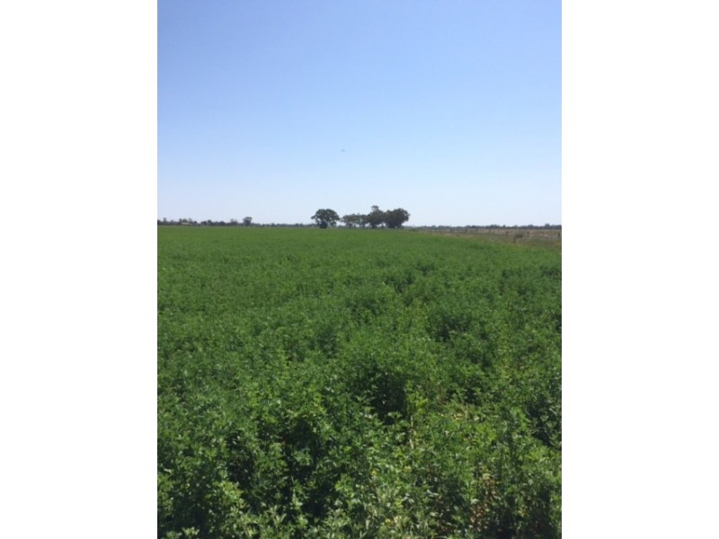 2547 Strathallan Rd, Lockington VIC 3563