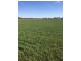2547 Strathallan Rd, Lockington VIC 3563