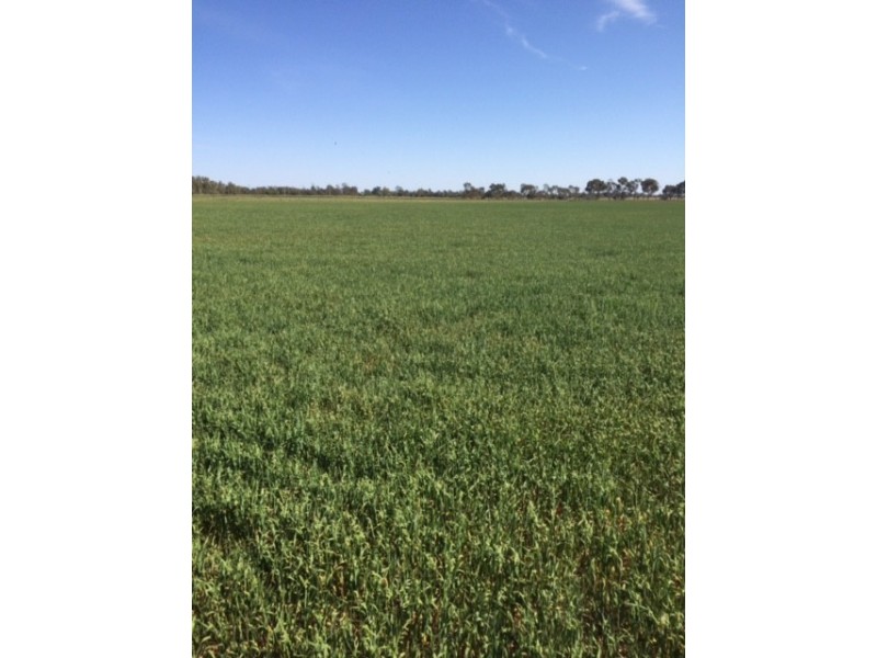2547 Strathallan Rd, Lockington VIC 3563