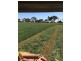 2547 Strathallan Rd, Lockington VIC 3563