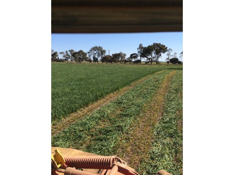 2547 Strathallan Rd, Lockington VIC 3563