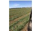 2547 Strathallan Rd, Lockington VIC 3563
