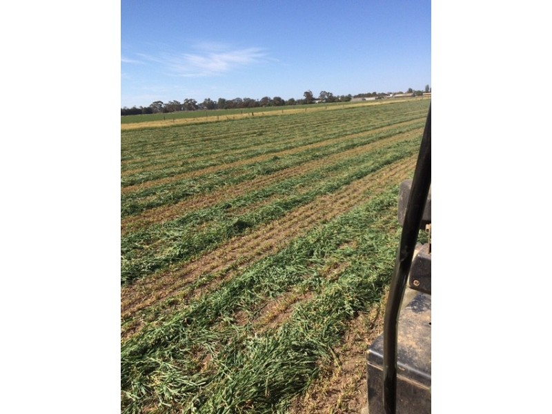 2547 Strathallan Rd, Lockington VIC 3563