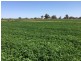2547 Strathallan Rd, Lockington VIC 3563