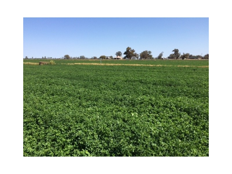 2547 Strathallan Rd, Lockington VIC 3563