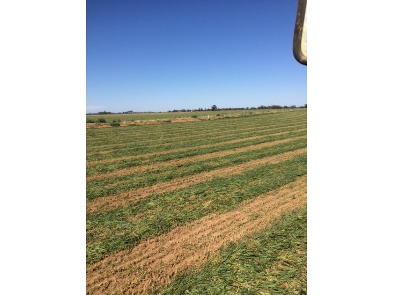 2547 Strathallan Rd, Lockington VIC 3563