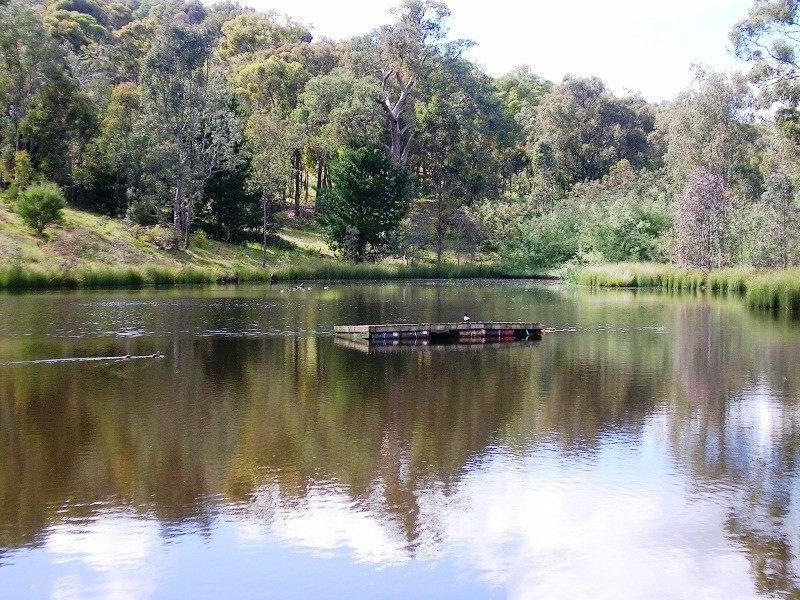 71 McIntyres Lane, Alexandra VIC 3714