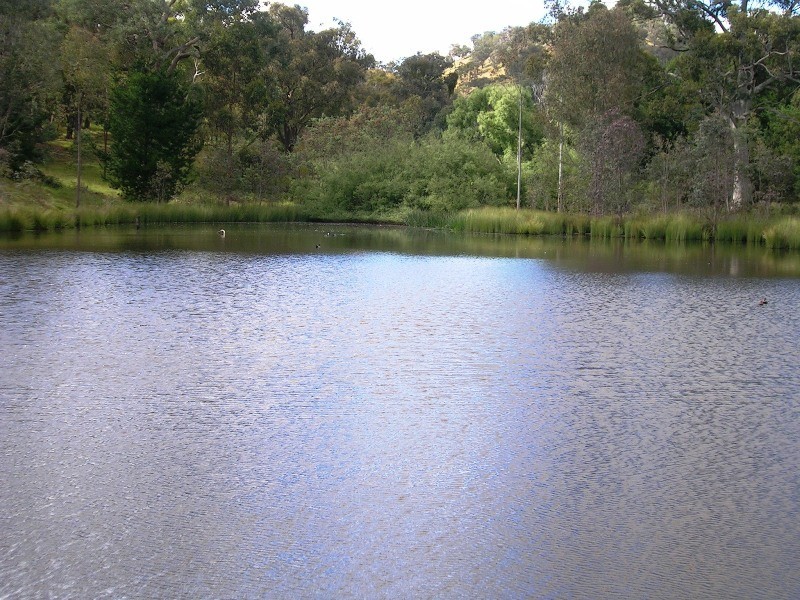 71 McIntyres Lane, Alexandra VIC 3714