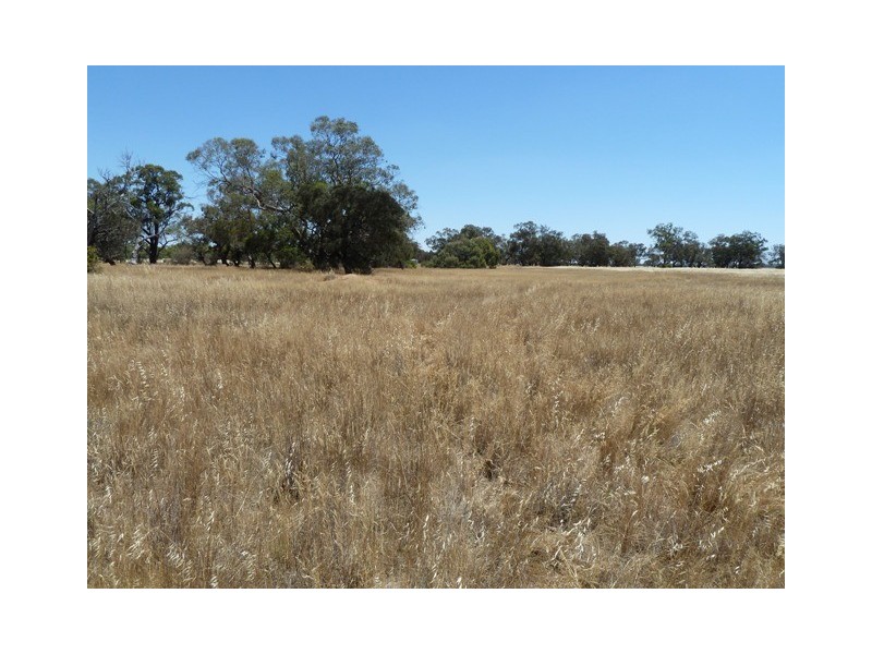 Cnr M/V Highway and Muller Road, Echuca VIC 3564