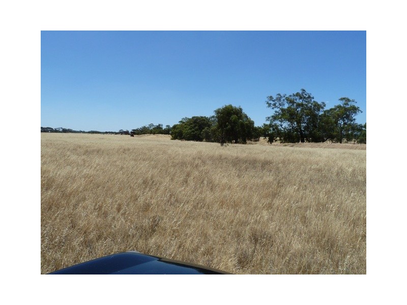 Cnr M/V Highway and Muller Road, Echuca VIC 3564