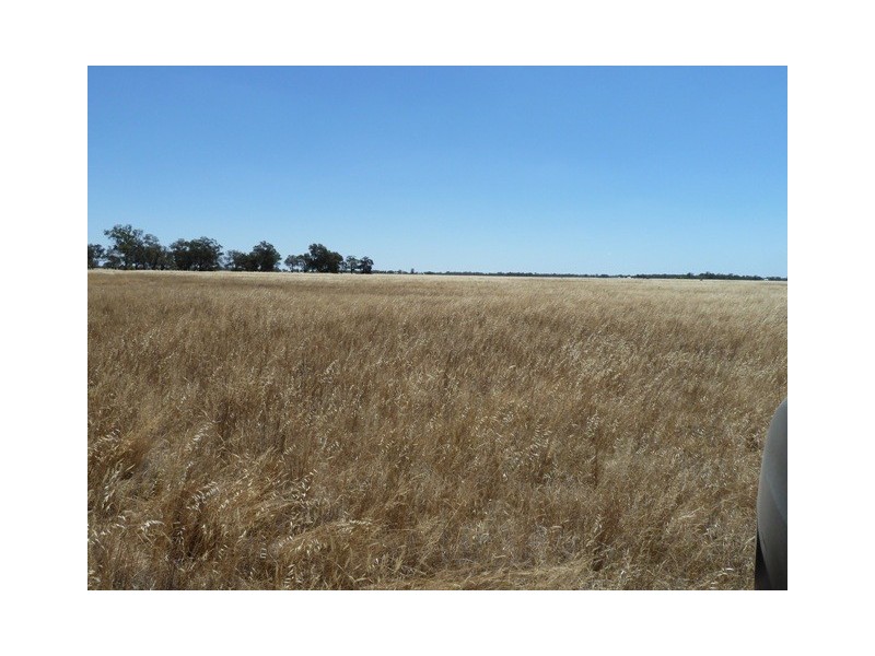 Cnr M/V Highway and Muller Road, Echuca VIC 3564