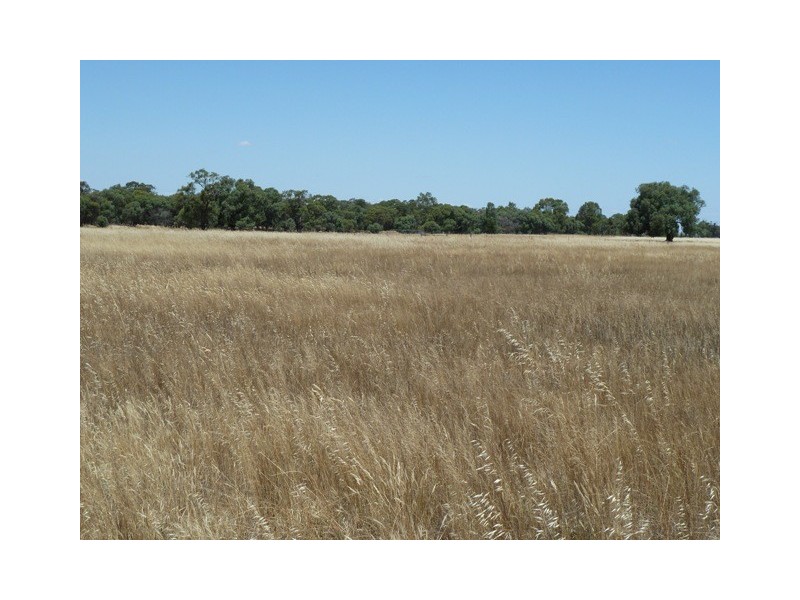 Cnr M/V Highway and Muller Road, Echuca VIC 3564