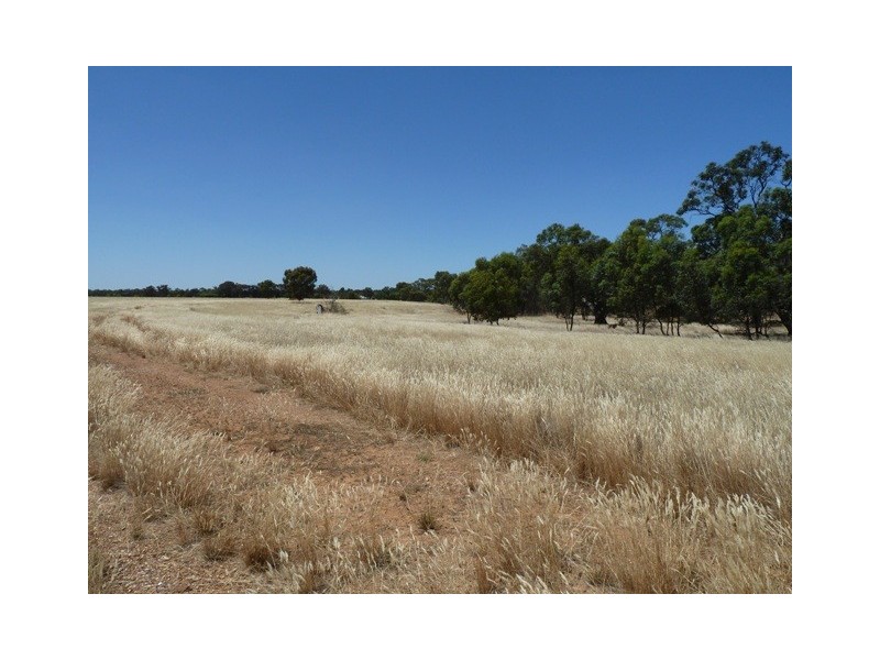 Cnr M/V Highway and Muller Road, Echuca VIC 3564