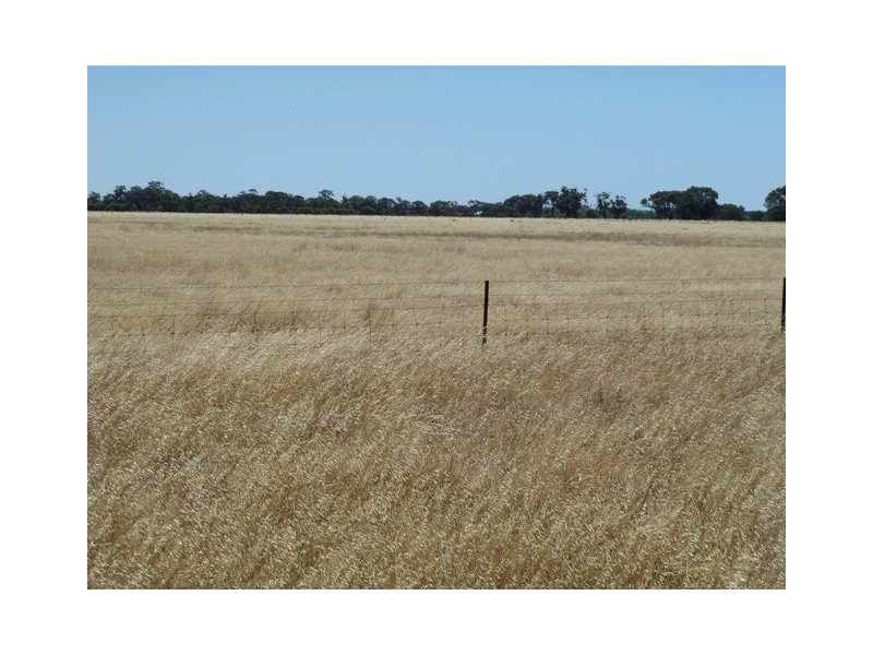 Cnr M/V Highway and Muller Road, Echuca VIC 3564