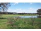 1001 Lake Buffalo-Whitfield Road, Edi Upper VIC 3678