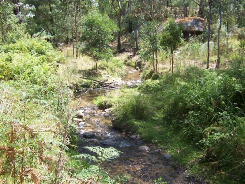 1001 Lake Buffalo-Whitfield Road, Edi Upper VIC 3678