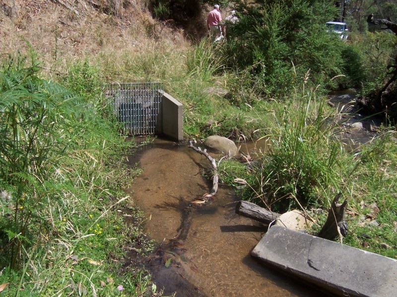 1001 Lake Buffalo-Whitfield Road, Edi Upper VIC 3678