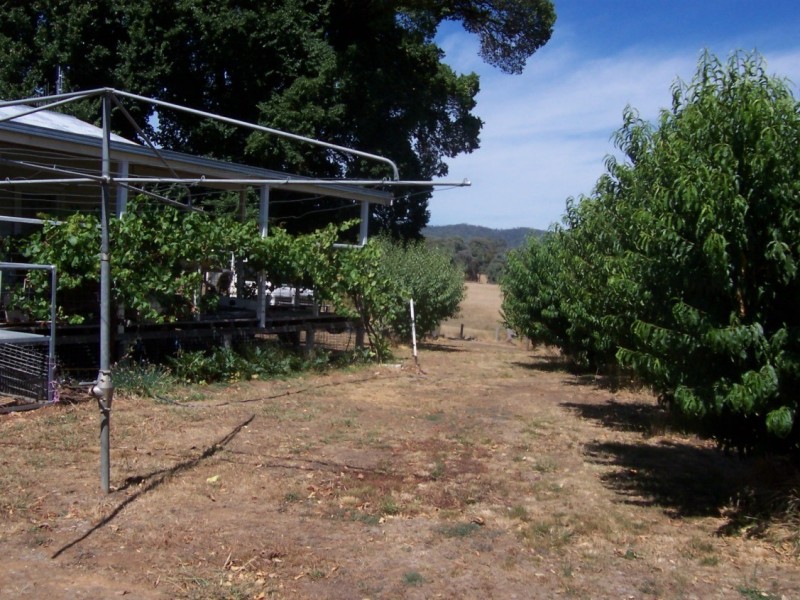 1001 Lake Buffalo-Whitfield Road, Edi Upper VIC 3678