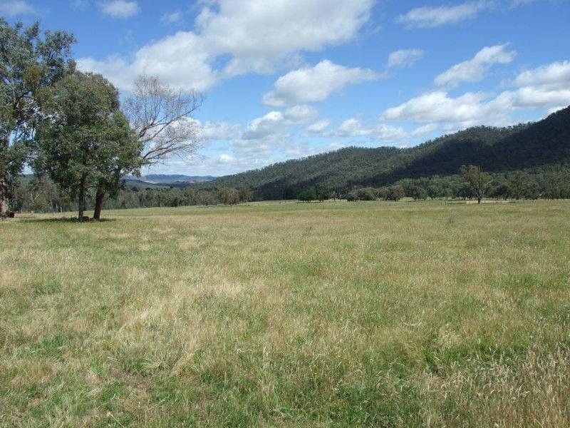 1001 Lake Buffalo-Whitfield Road, Edi Upper VIC 3678