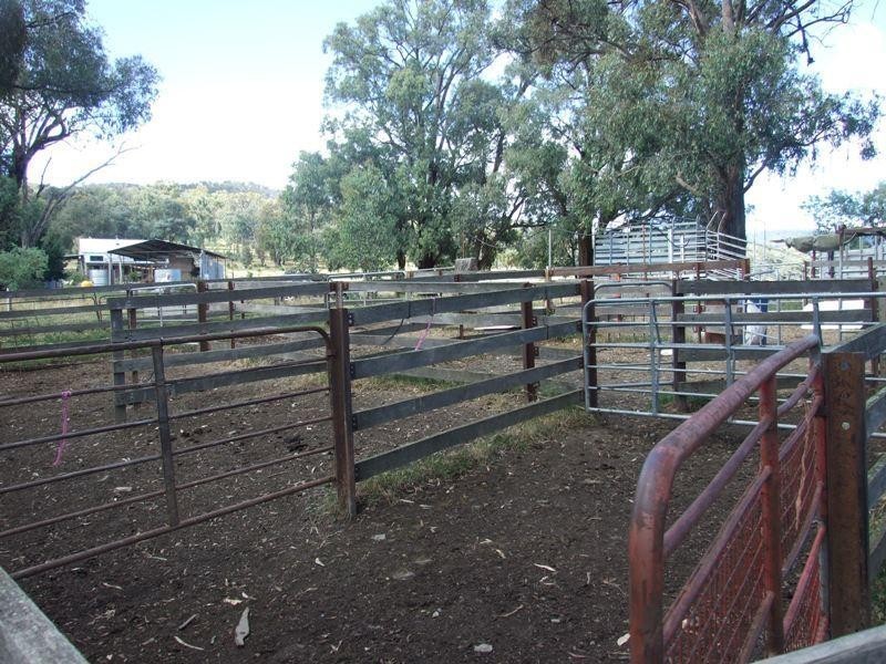 1001 Lake Buffalo-Whitfield Road, Edi Upper VIC 3678