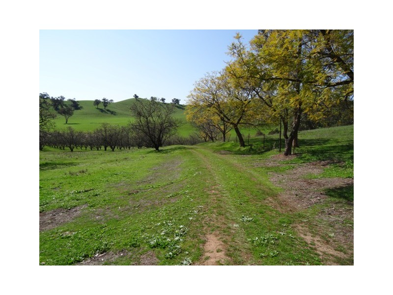Lot 2, 398 Embling Road, Upper Lurg VIC 3673