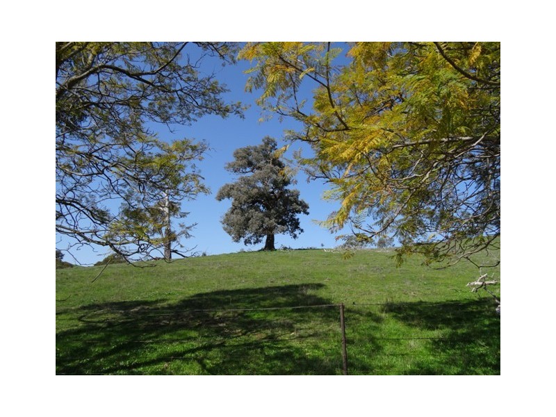 Lot 2, 398 Embling Road, Upper Lurg VIC 3673