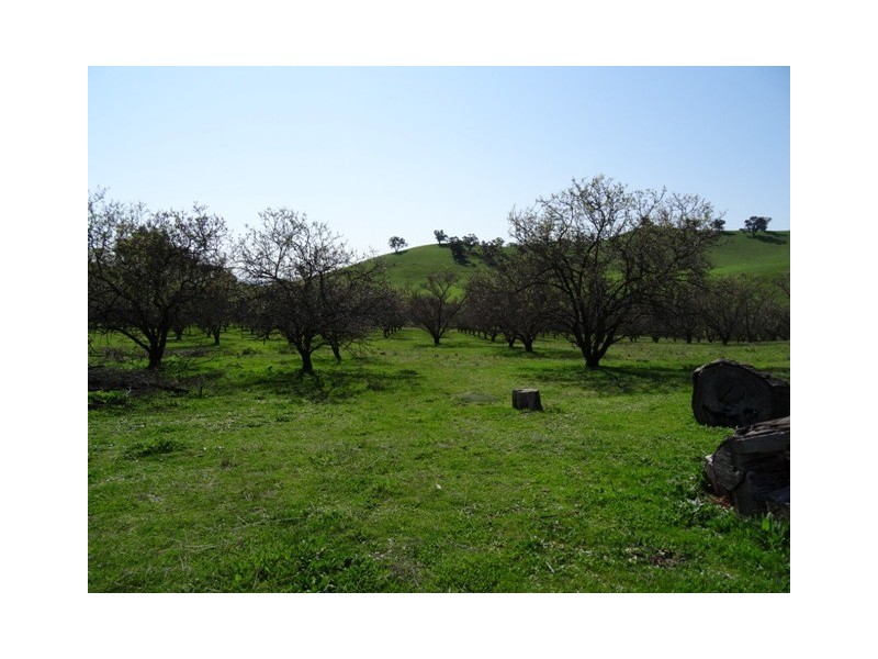 Lot 2, 398 Embling Road, Upper Lurg VIC 3673