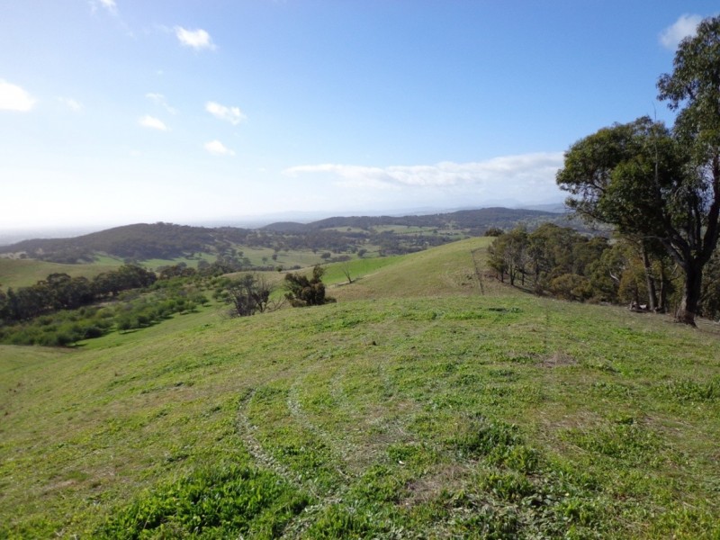 Lots 4 and 5 Embling Road, Upper Lurg VIC 3673