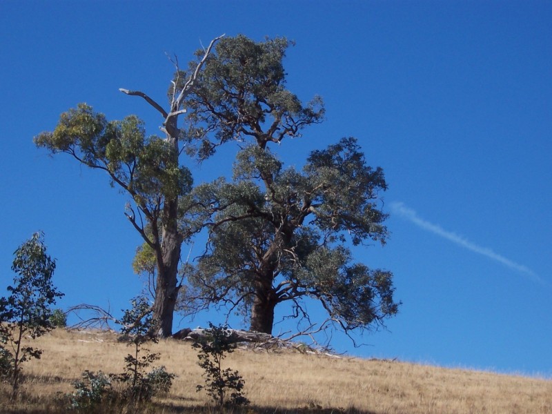 Lots 4 and 5 Embling Road, Upper Lurg VIC 3673
