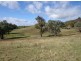 Lots 4 and 5 Embling Road, Upper Lurg VIC 3673