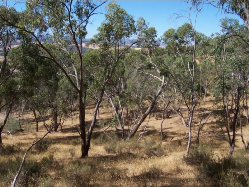 Lots 4 and 5 Embling Road, Upper Lurg VIC 3673