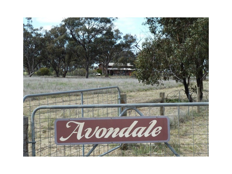 Thyra Road, Moama NSW 2731